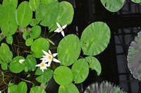 植物公園にて