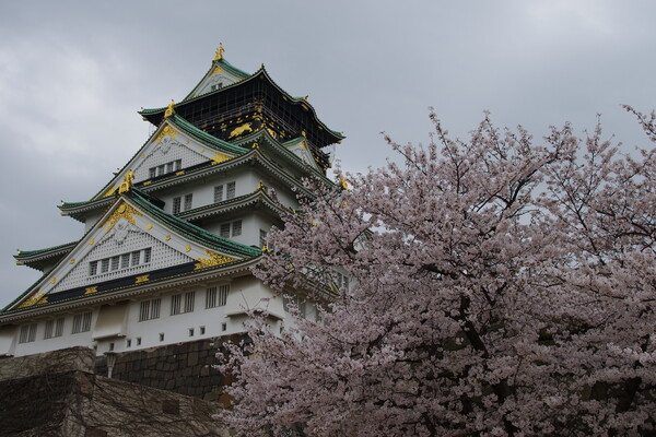 桜大阪城