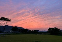 夕日