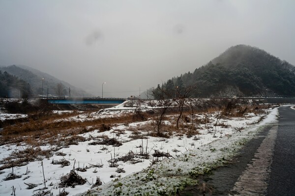 雪がチラチラ降っています。