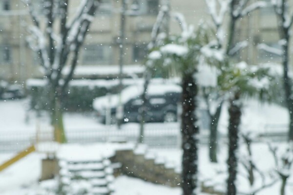 東京の初雪1