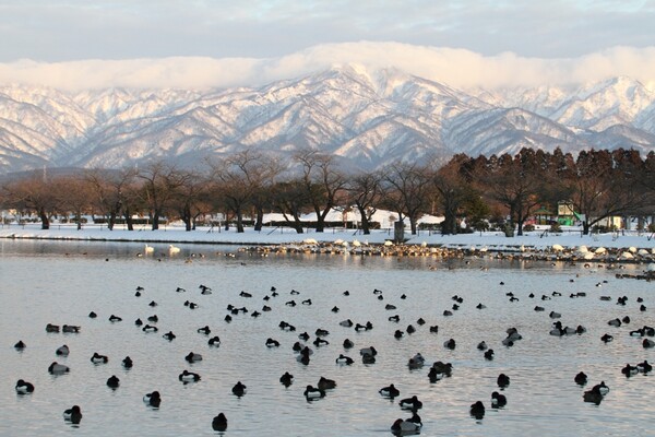 瓢湖の風景