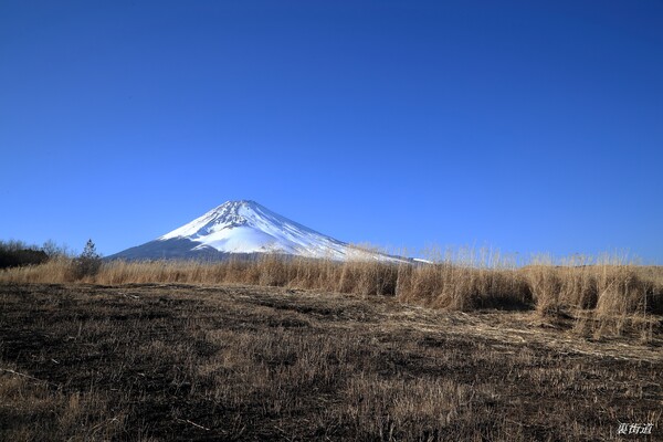 富士演習場の冬