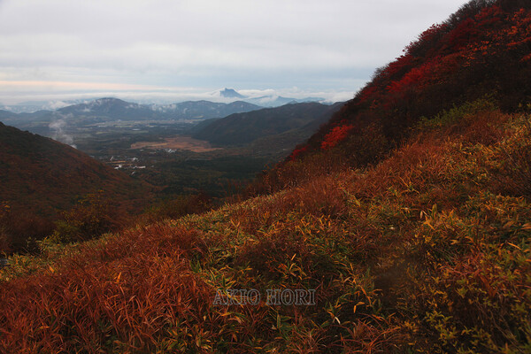 紅葉を求め、日本百名山「くじゅう連山」を行く。