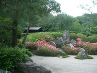 〜鎌倉散策-12-　明月院の庭園〜