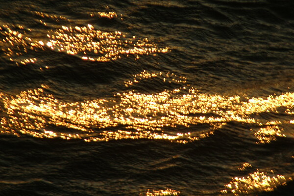 サロマ湖の金波