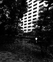 健康への道