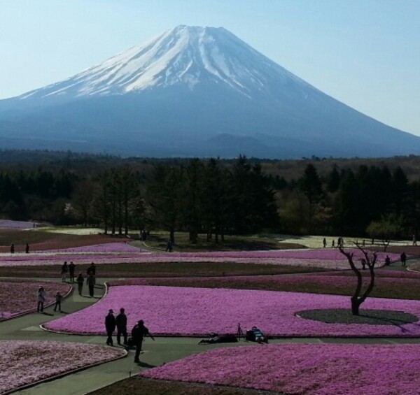 【スクエア】  富士山