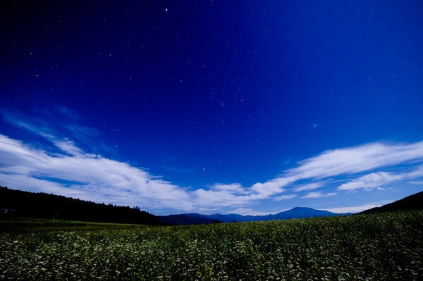 月齢17の夜　ちょっと初秋