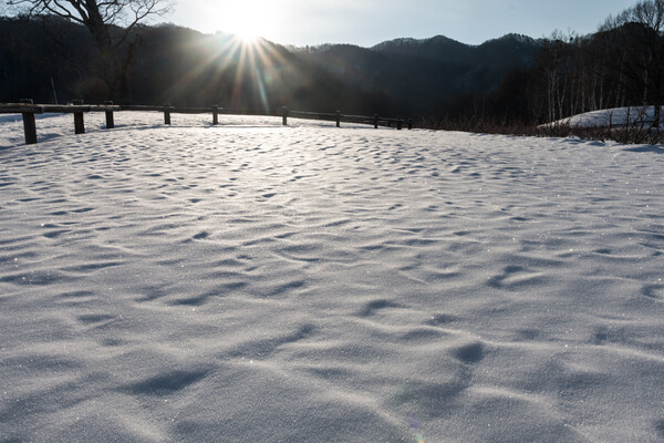 雪波輝く