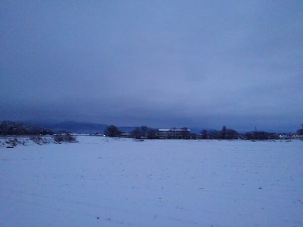 雪が積もった日の水田の景色