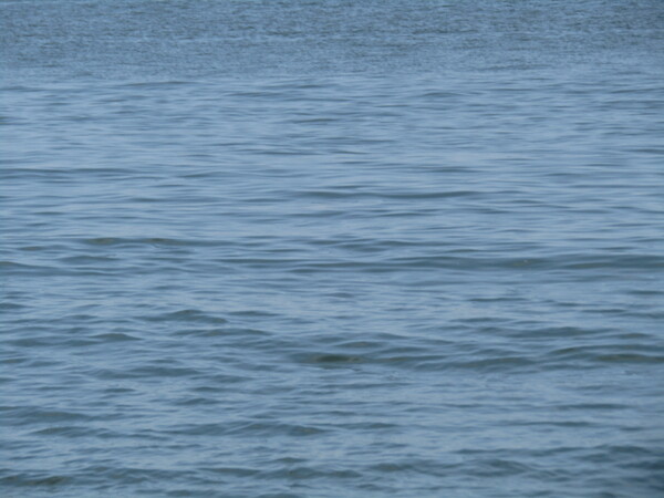大神子海岸の海の小波が素敵に思います🌊