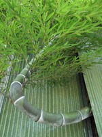 竹のアート
