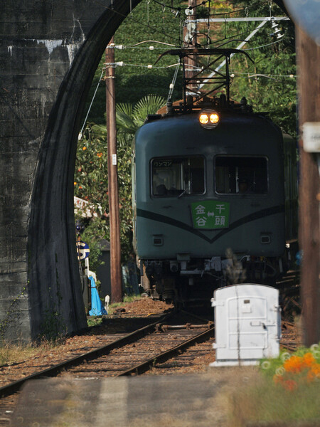 ＳＬじゃない大井川の電車