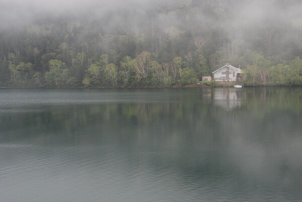 霧雨の然別湖②
