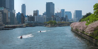 中之島公園水景（2枚繋ぎ）