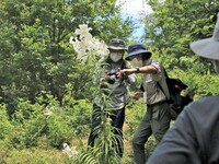 真夏のヤマユリ観察　婦唱夫随