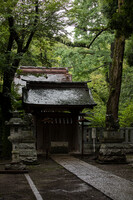 雨の神社