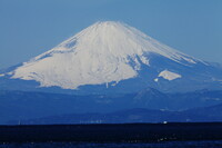 葉山からドドーンと、富士山