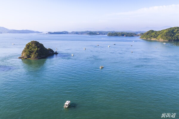 三角港の一本釣り風景