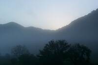朝霧の深い朝