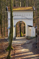 Gate in the forest.