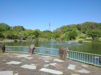 私の好きな池の石畳の歩道のある景色