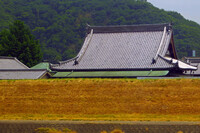 【日本】の寺の屋根