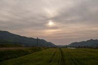 雨が上がりました・・。