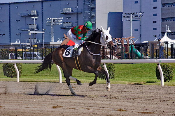 川崎競馬場