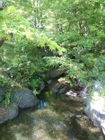 那須野が原公園の涼しげな小川の景色