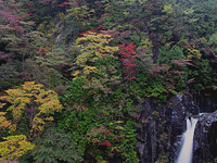 【秋】　滝と紅葉　３