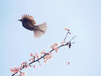 立つ鳥後を・・・