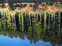 シン・水鏡