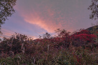 高原に秋の兆し