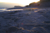 鎌倉ぶらぶらコース後：夕日の砂浜