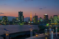 晴海埠頭から望む東京タワー
