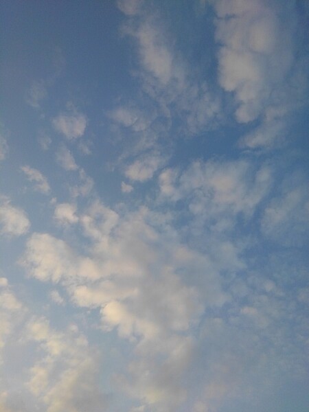 久々な気のする青空