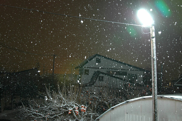 雪の夜