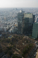 都庁から見る新宿中央公園