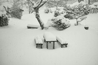 【動感】雪