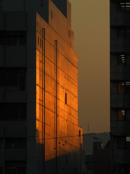 夕日のあたるビル壁