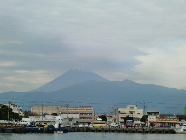 沼津港魚市場と富士山