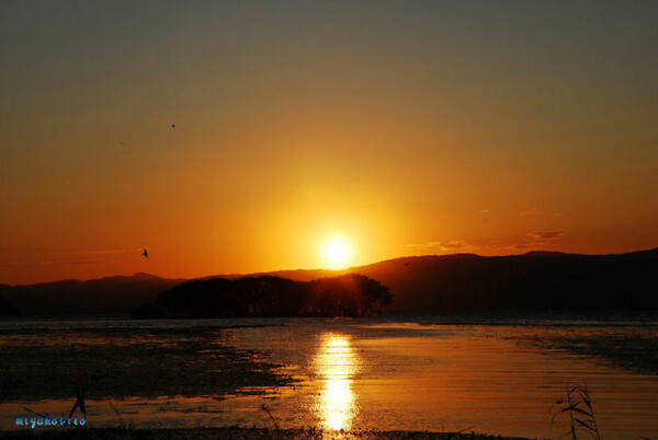 夕陽（琵琶湖）