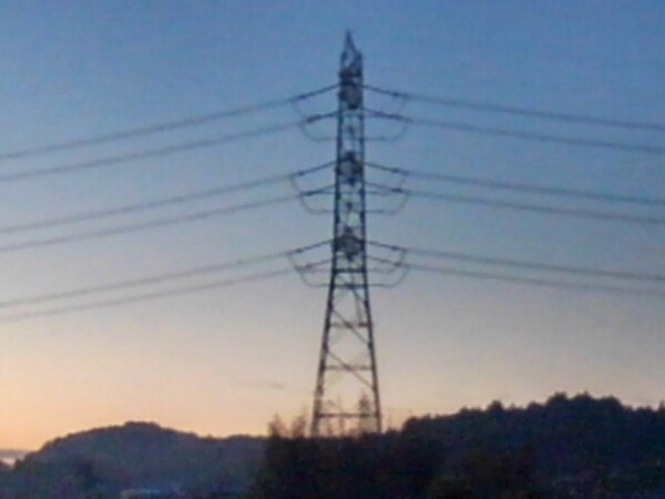 朝の森の上に見える鉄塔