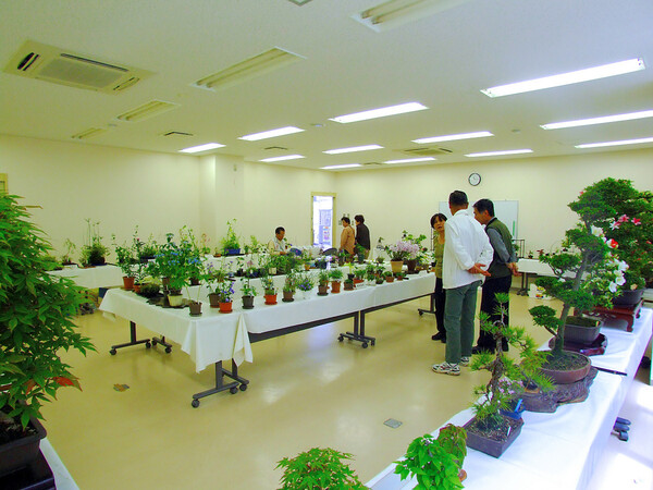 ローカルの鉢植え趣味の会