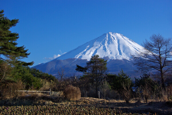 富士パノラマラインで見た風景