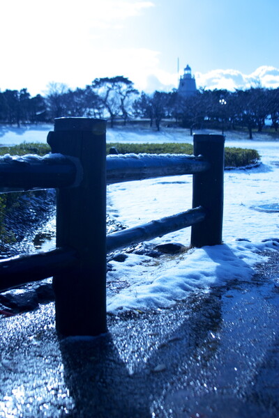 【2008】初雪