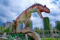【広がり】肉食恐竜