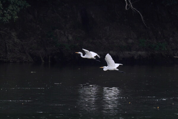 湖の対岸に お馴染みの・・